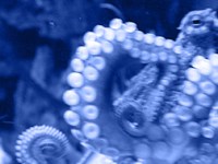 March 2025 – Surprising&nbsp;Research