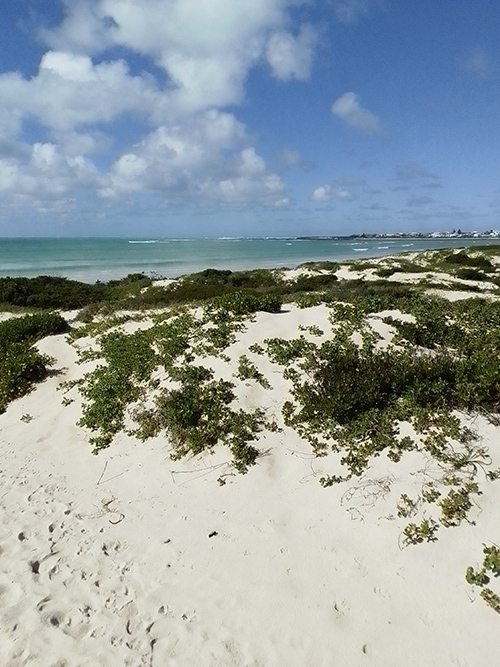 struisbaai beach